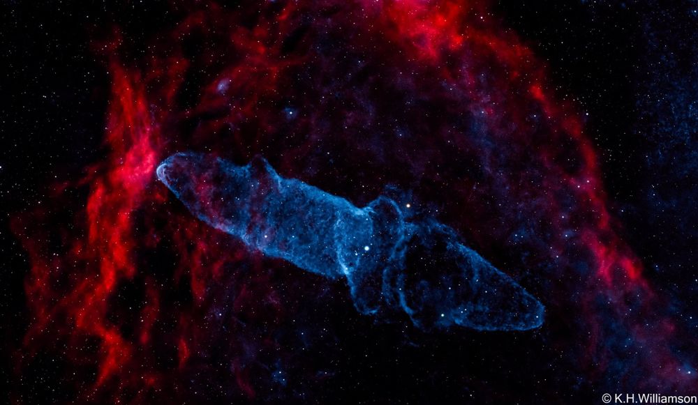 Squid Nebula (Ou4) in the Flying Bat (Sh2-129), HOO