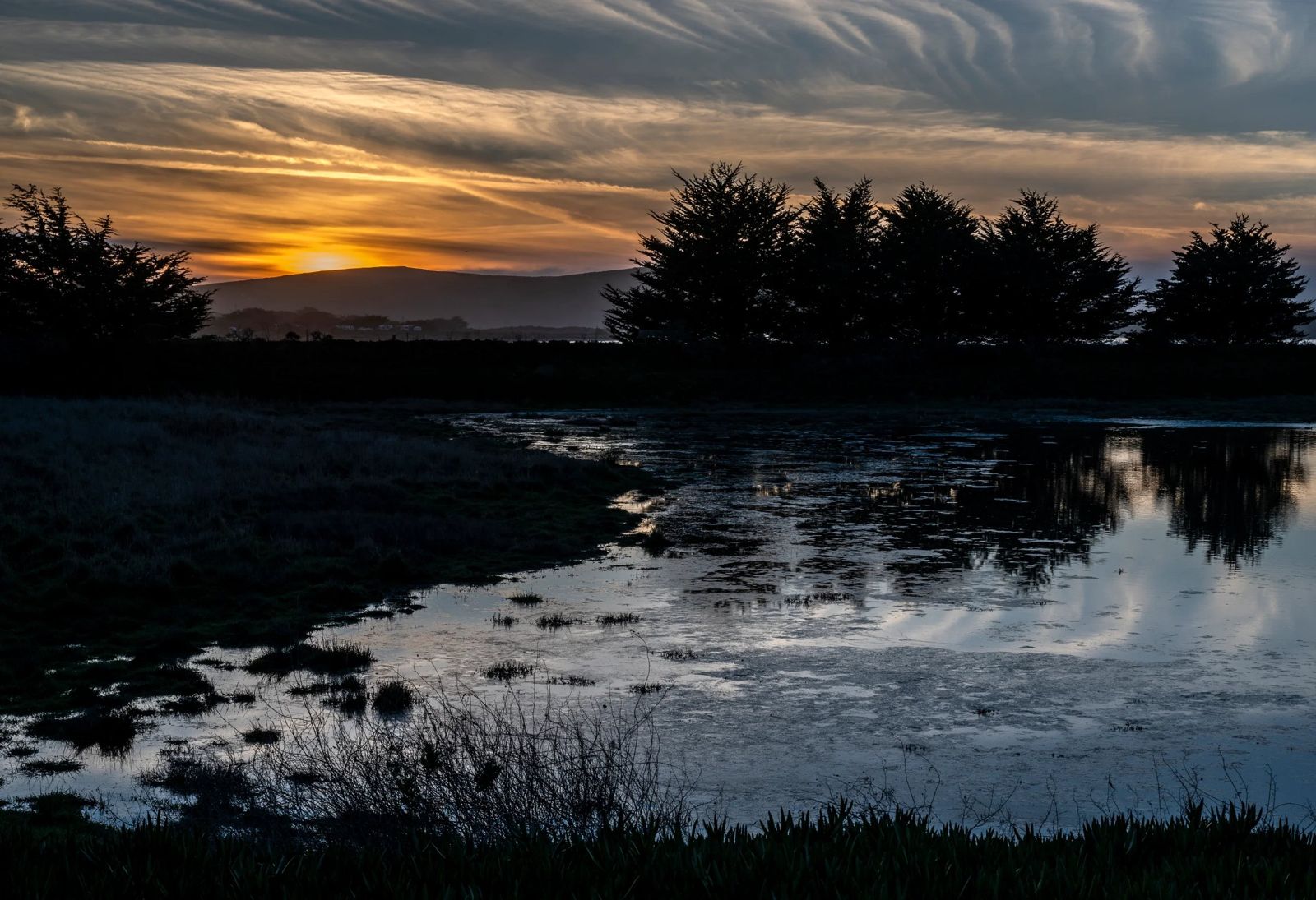 Birdwalk Coastal Access Trail, Bodega Bay, CA